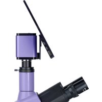 Микроскоп Magus Lum D400L LCD 83019