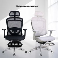 Офисное кресло Evolution Ergo Elite (черный)