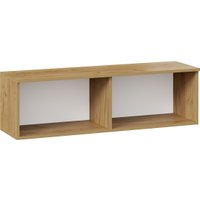 Шкаф распашной Трия Хилтон 1100 (дуб крафт золотой/белый матовый)