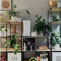 Увлажнитель воздуха Stadler Form Eva Wi-Fi (белый)