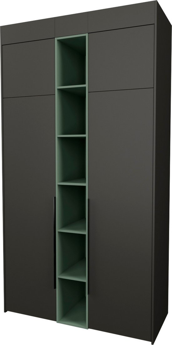 

Шкаф распашной Рэйгрупп Рэй S274-В4-WKZ В4 (дуб веллингтон/кобальт/зеленый самшит)