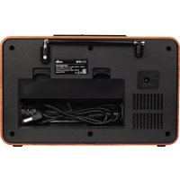 Радиоприемник Ritmix RPR-111