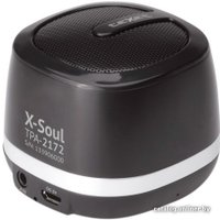 Портативная колонка TeXet TPA-2172 / X-Soul