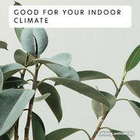 Масляный радиатор Mill AB-H2000DN