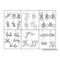 Головоломка Золотая сказка Любитель 662088