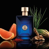 Туалетная вода Versace Pour Homme Dylan Blue EdT (200 мл)