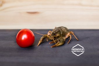 Rakivminske Раки живые S (20-40 г)