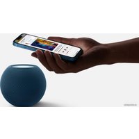 Умная колонка Apple HomePod Mini (синий)