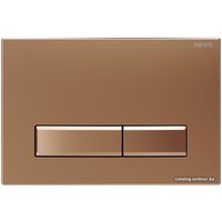 Панель смыва Burke Тип 09 109.RR.1 (матовое розовое золото/золото)