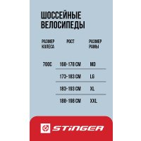 Велосипед Stinger Gravix STD L 2024 (серый)