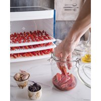 Сушилка для овощей и фруктов StarWind SFD6430