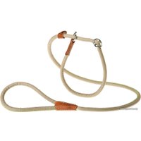 Ошейник с поводком Ferplast Derby GC12/170 75383602 (серый)