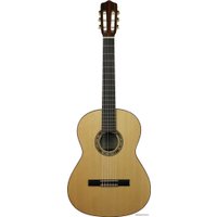 Акустическая гитара Kremona Rosa Morena