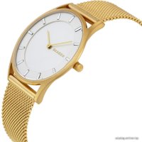 Наручные часы Skagen SKW2377