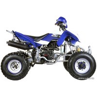 Квадроцикл IRBIS ATV 250S