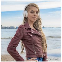 Наушники InterStep SBH-260 (белый)