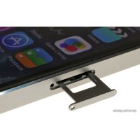 Телефон Apple iPhone 5s 32GB Space Gray