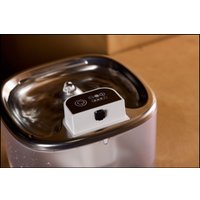 Фонтанчик Rombica myPet Ray