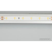 Светодиодная лента Arlight 034159