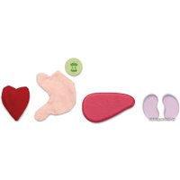 Игровой набор доктора терапевта Plan Toys 3703