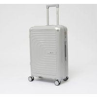 Чемодан-спиннер VALIGETTI 344-8022/2-24SLV (серебристый)