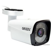 IP-камера Ginzzu HIB-2301S