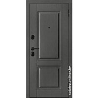 Металлическая дверь Металюкс М612 (96x205) в Солигорске