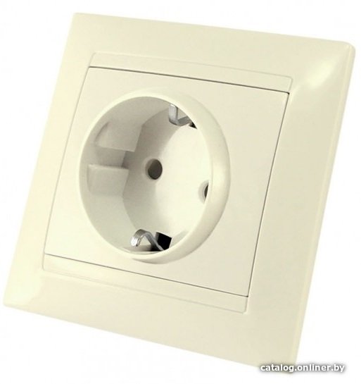 Розетка TDM Electric Лама SQ1815-0111