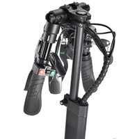 Электросамокат White Siberia WS-Luna 800W