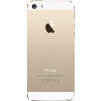 Телефон Apple iPhone 5s 16GB Gold