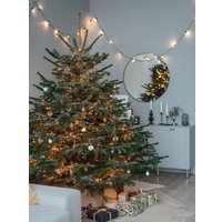 Ель HD Nordic Trees Nordmann Датская Премиум (1.7-2.0 м, срезанная)