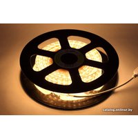 Готовый комплект светодиодной ленты ЭРА LS2835-4,8-60-220-2700К-IP67-20m