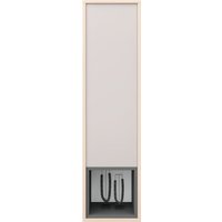 Шкаф распашной Аквилон Рэя №8.1 (туя светлый/кашемир)