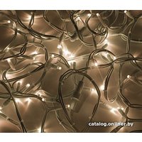 Новогодняя гирлянда ULED ULED-SL-100-24V-(W-F-WW/WW)