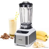 Стационарный блендер Biochef Atlas Power (белый)