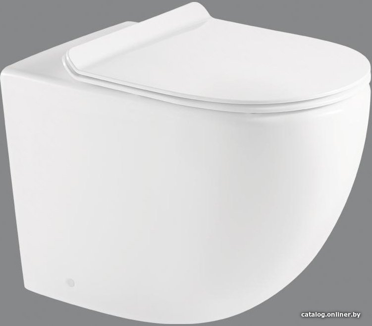 Унитаз приставной BelBagno Sfera-R BB2141CBR (без сиденья)
