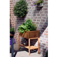 Ящик для рассады Диприз Д.7457