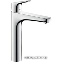 Смеситель Hansgrohe Focus E2 31608000