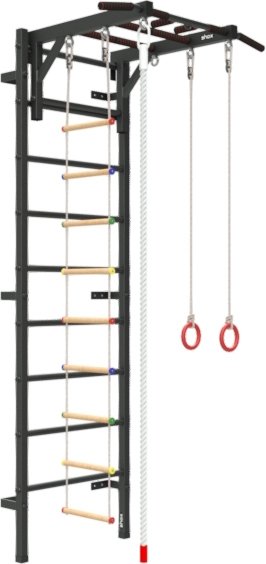 

Детский спортивный комплекс Shox DK-M1 (темно-серый антик/черный)