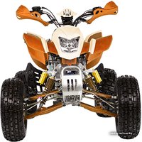 Квадроцикл IRBIS ATV 250S