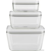 Набор контейнеров Zwilling Fresh&Save 36803-003