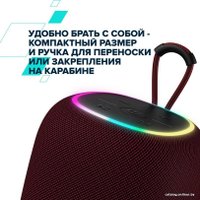 Беспроводная колонка Canyon BSP-8 (бордовый)