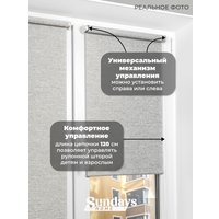 Рулонные шторы Sundays Home LM 165-04 57x160 (серый мрамор)