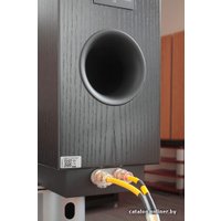 Полочная акустика Dynaudio Confidence С1 Platinum