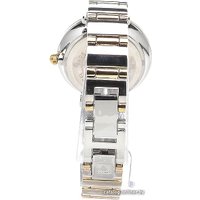 Наручные часы Anne Klein 2435SVTT