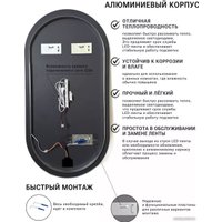 Зеркало eMZe Led с подсветкой и УФ-окантовкой 50x100 LED.UV.50.100.AUR (золото)