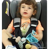 Детское автокресло Nania Trio Access (grey)