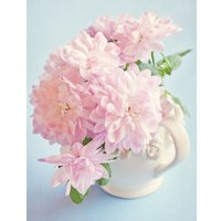 Картина по номерам Рыжий кот Розовые георгины Х-3954