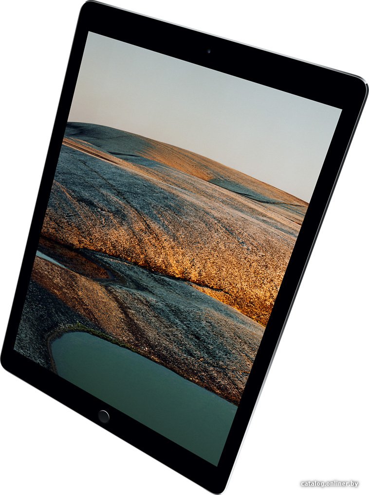Apple iPad Pro 9.7 256GB LTE Space Gray профессиональный
