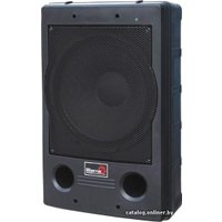 Концертная акустика Biema B4000SUB